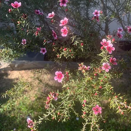 Monte Di Portofino 3* סנטה מרגריטה ליגורה