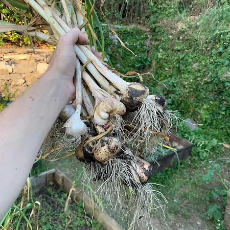 לינה וארוחת בוקר Monte Di Portofino