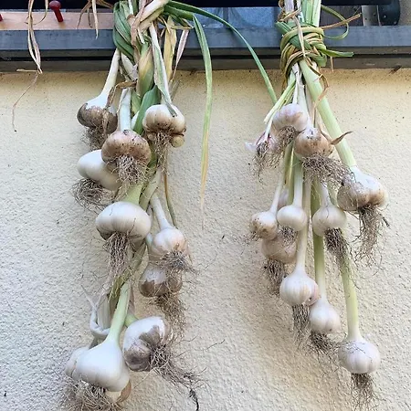 Monte Di Portofino Santa Margherita Ligure